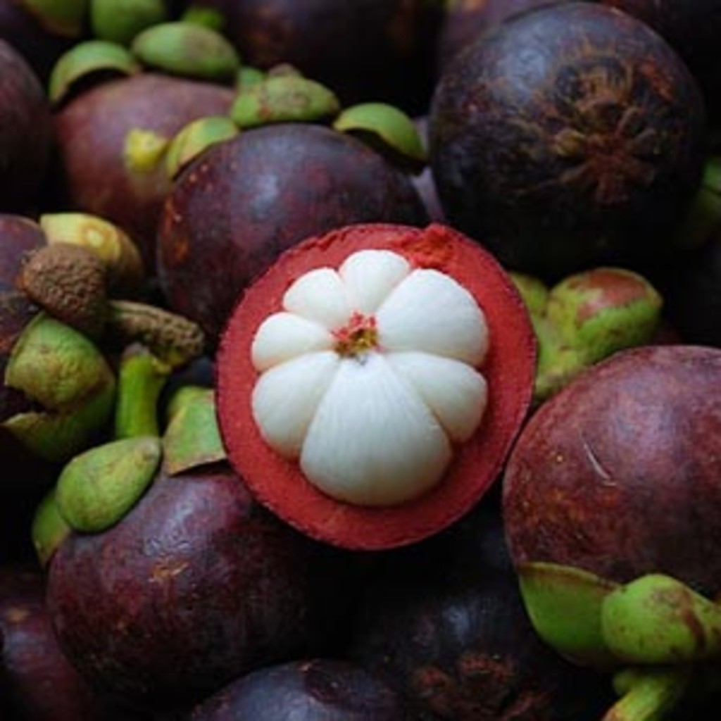 large_mangosteen-last